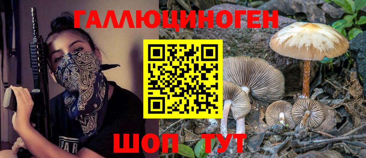Героин Урус-Мартан