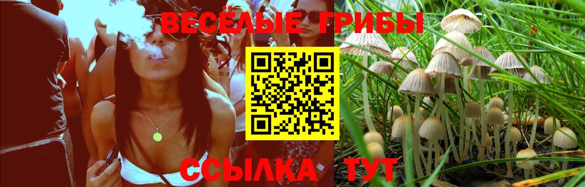 купить наркоту  Галлюциногенные грибы мицелий  Вход с VPN  Урус-Мартан 